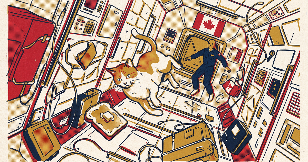 A cat always lands on its feet