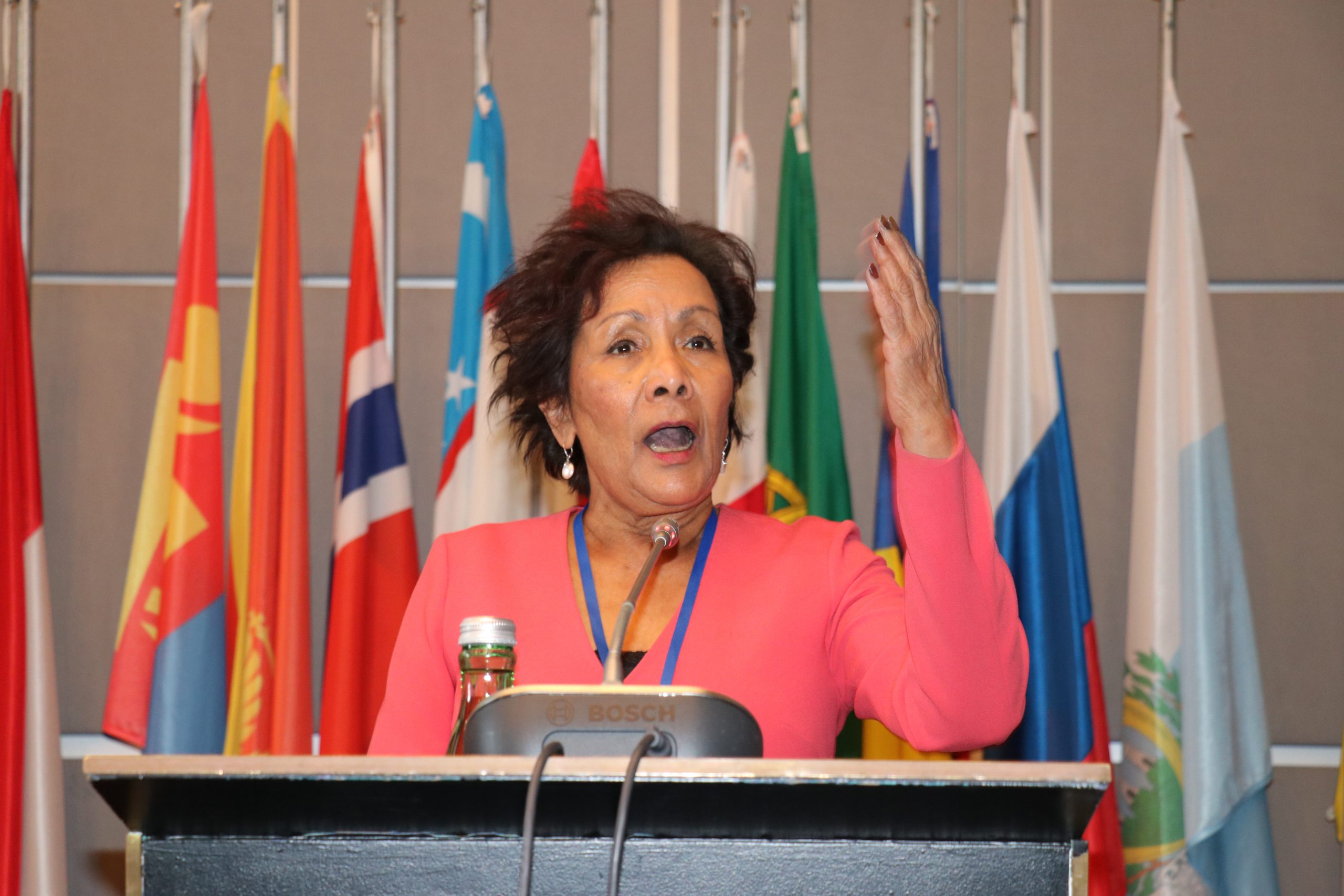 H1N1 vaccination priority